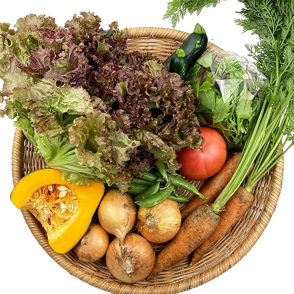 Amazon.co.jp: むつみ屋 旬の野菜セット 13品 化学農薬・化学